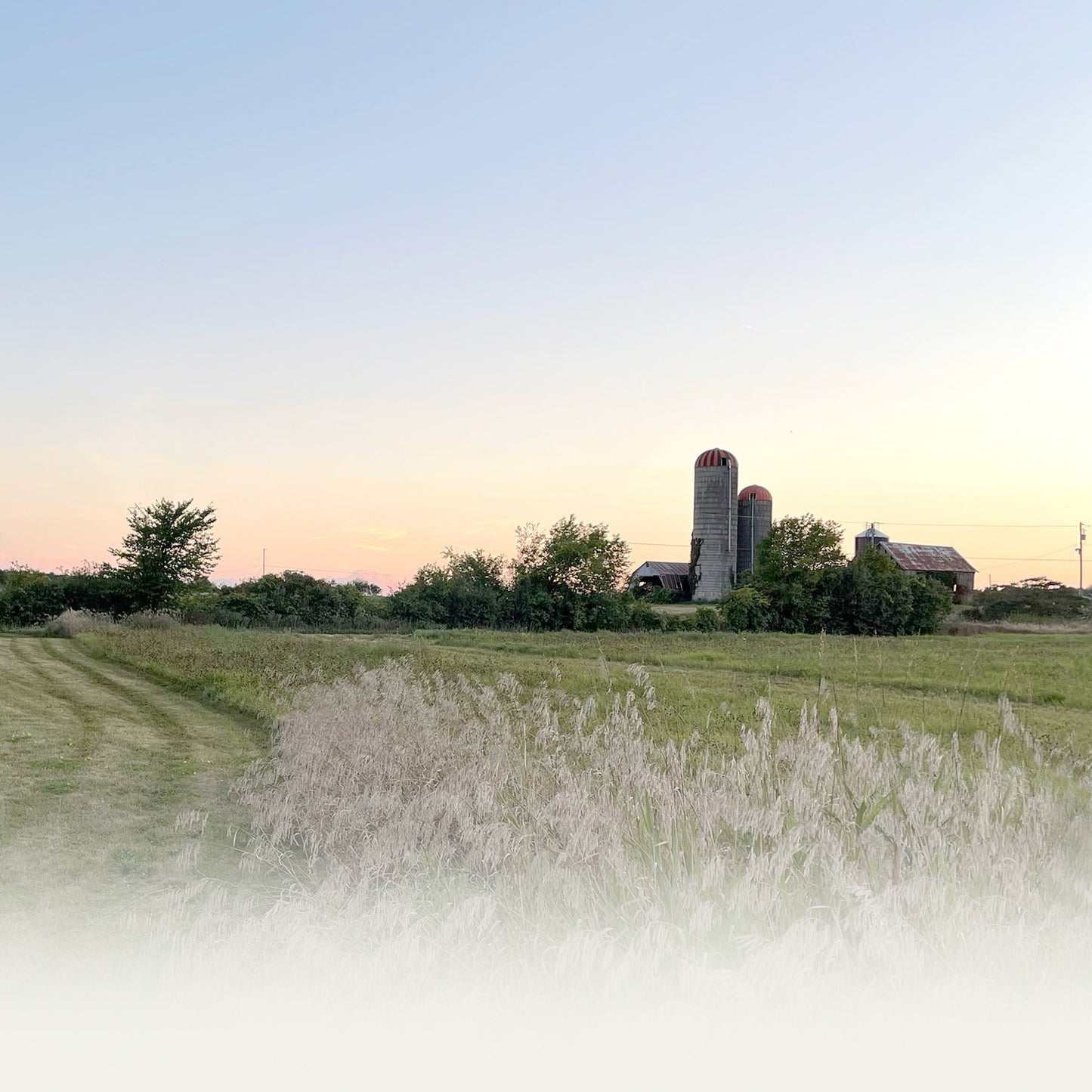 The Canada House - Prince Edward County - Vacation House Rental - AirBNB - VRBO