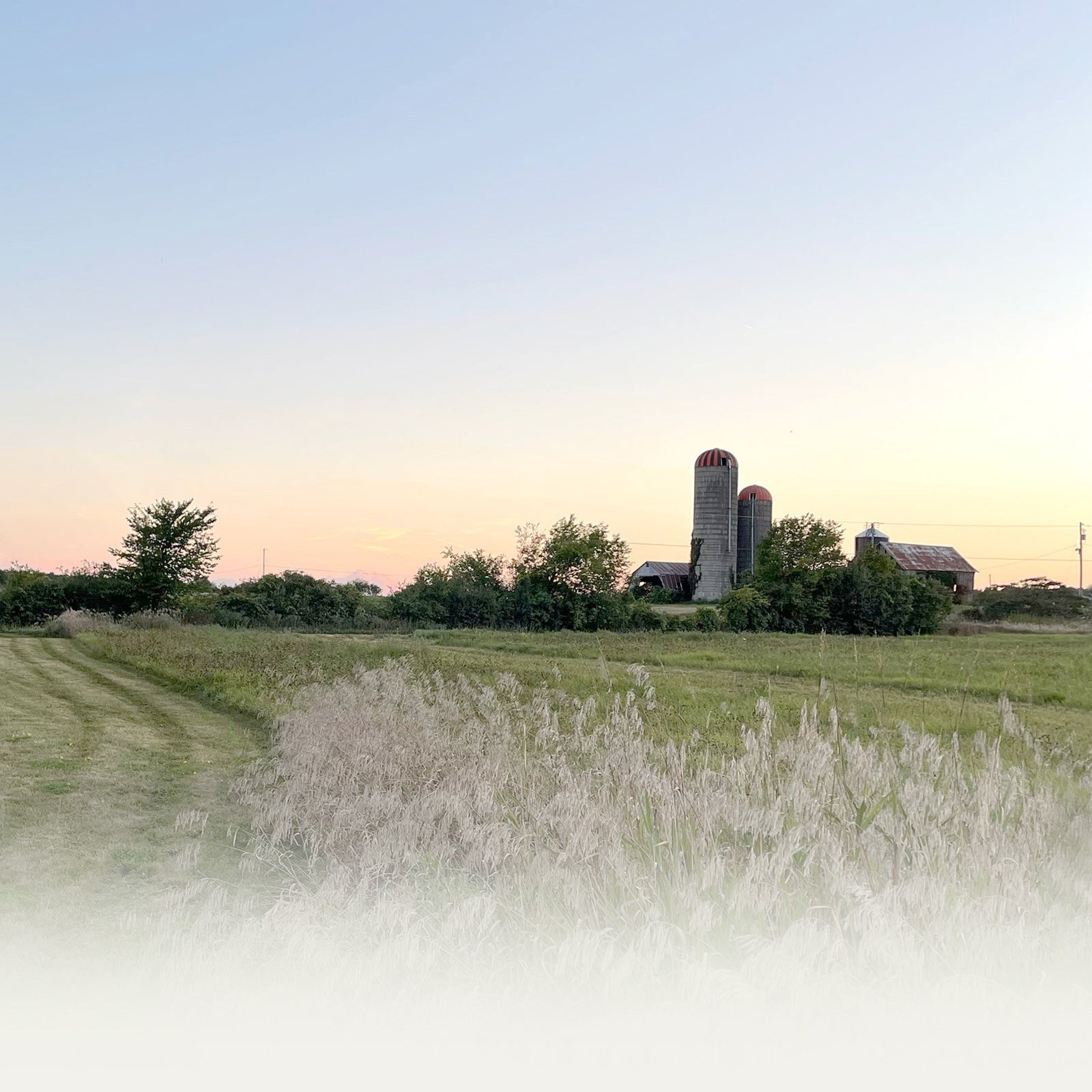 The Canada House - Prince Edward County - Vacation House Rental - AirBNB - VRBO